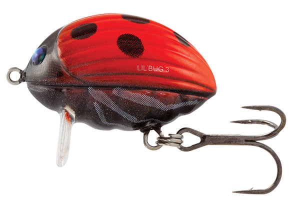 Salmo Lil Bug 2cm - Lady Bird