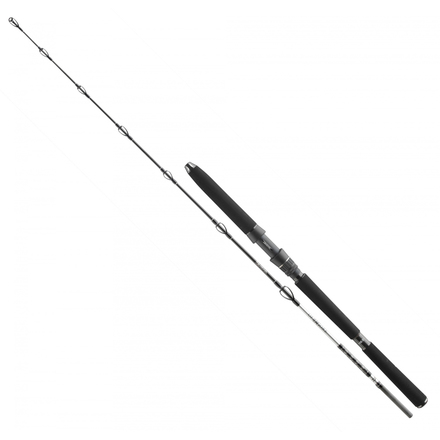 Canna da Barca Daiwa BG Deep Sea