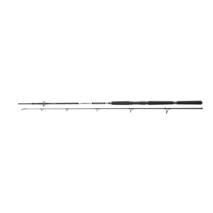 Canna da Barca Daiwa BG Offshore Pilk