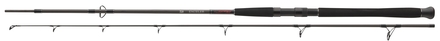 Canna da pesce gatto Daiwa Exceler CF Spin