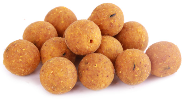 5kg Readymade Q-Boilies in 15 of 20mm - Scopex Cream
