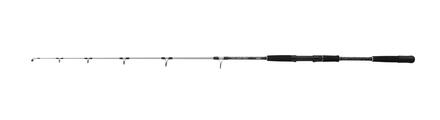 Canna da pesca in mare Mitchell Tanager SW Jig 1.60m (100-250g)
