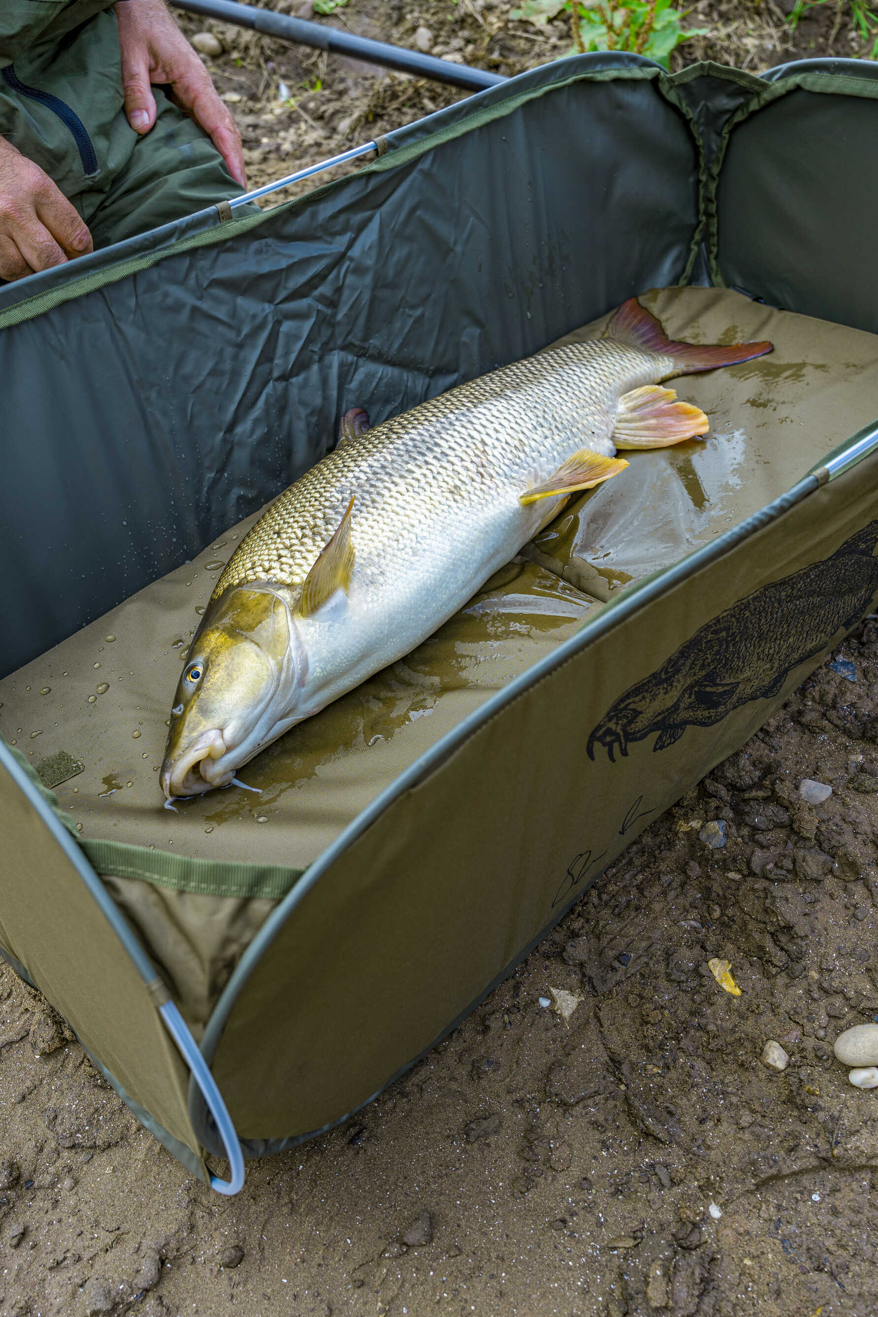 Tappetino da Sgancio Korum Classic Barbel Fast 