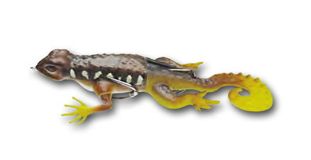 Behr Trendex Gecko Esca di superficie 13.5cm (21g)
