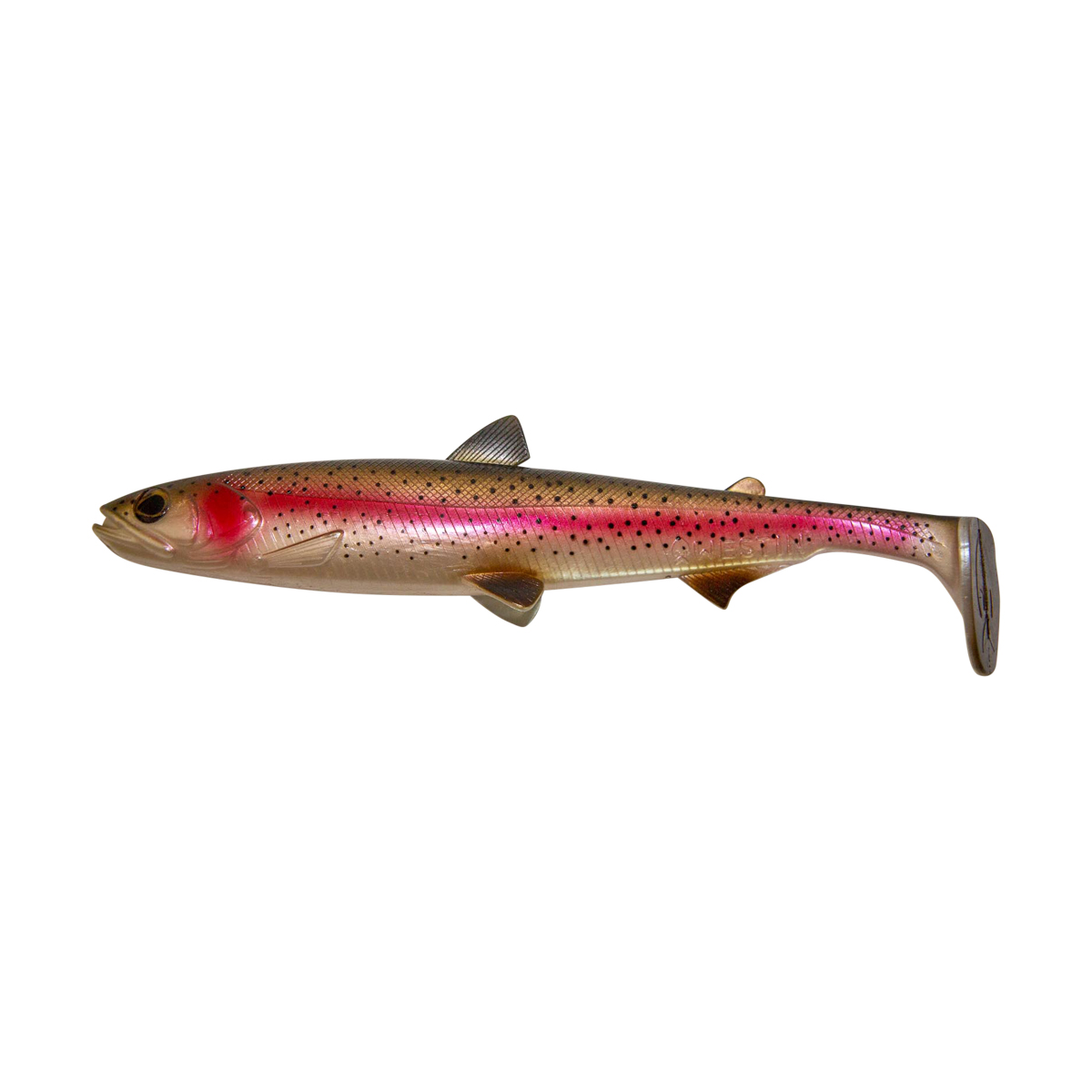 Westin HypoTeez ST Trout Shad 25cm (110g) - Rainbow Trout