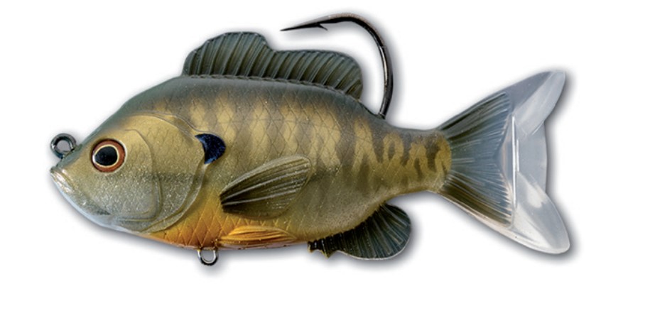Esche Livetarget Sunfish Swimbait Bronze Bluegill 5/0 8.9cm (14g)