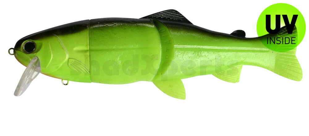 Galleggiante Castaic Real Bait Hard Head (6"/15cm) Swimbait - Chartreuse