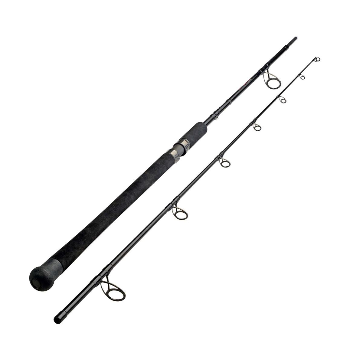 Canna da Spinning Sportex Trowler 2.6m (-125g)