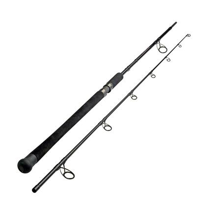 Canna da Spinning Sportex Trowler 2.6m (-125g)