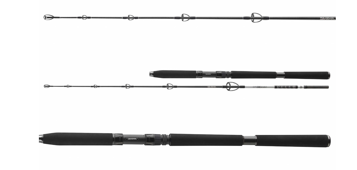 Canna da barca Daiwa BG Jigger Spin 1,70 m (150-400 g) - Daiwa BG Jigger Spin