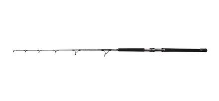 Canna da Spinning per la Pesca in Mare Penn Battalion Solid Tuna 1.84m (50-100lb)