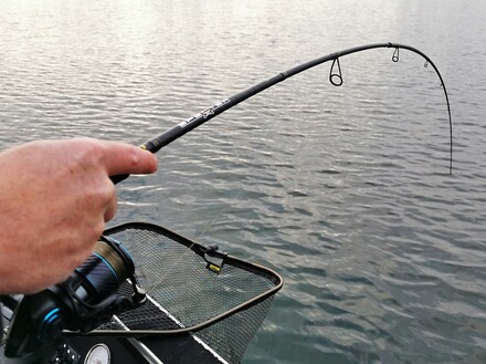 Canne da vertical jigging