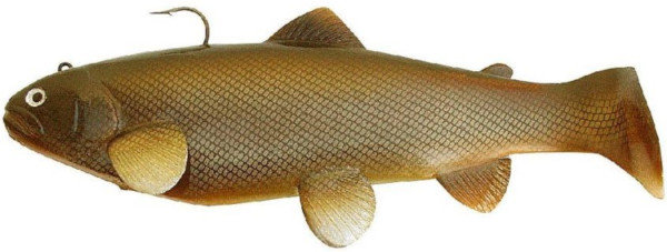 Castaic Swimbait Trout 20cm - Carp